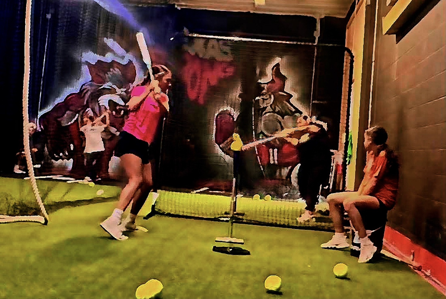 Batting cage training